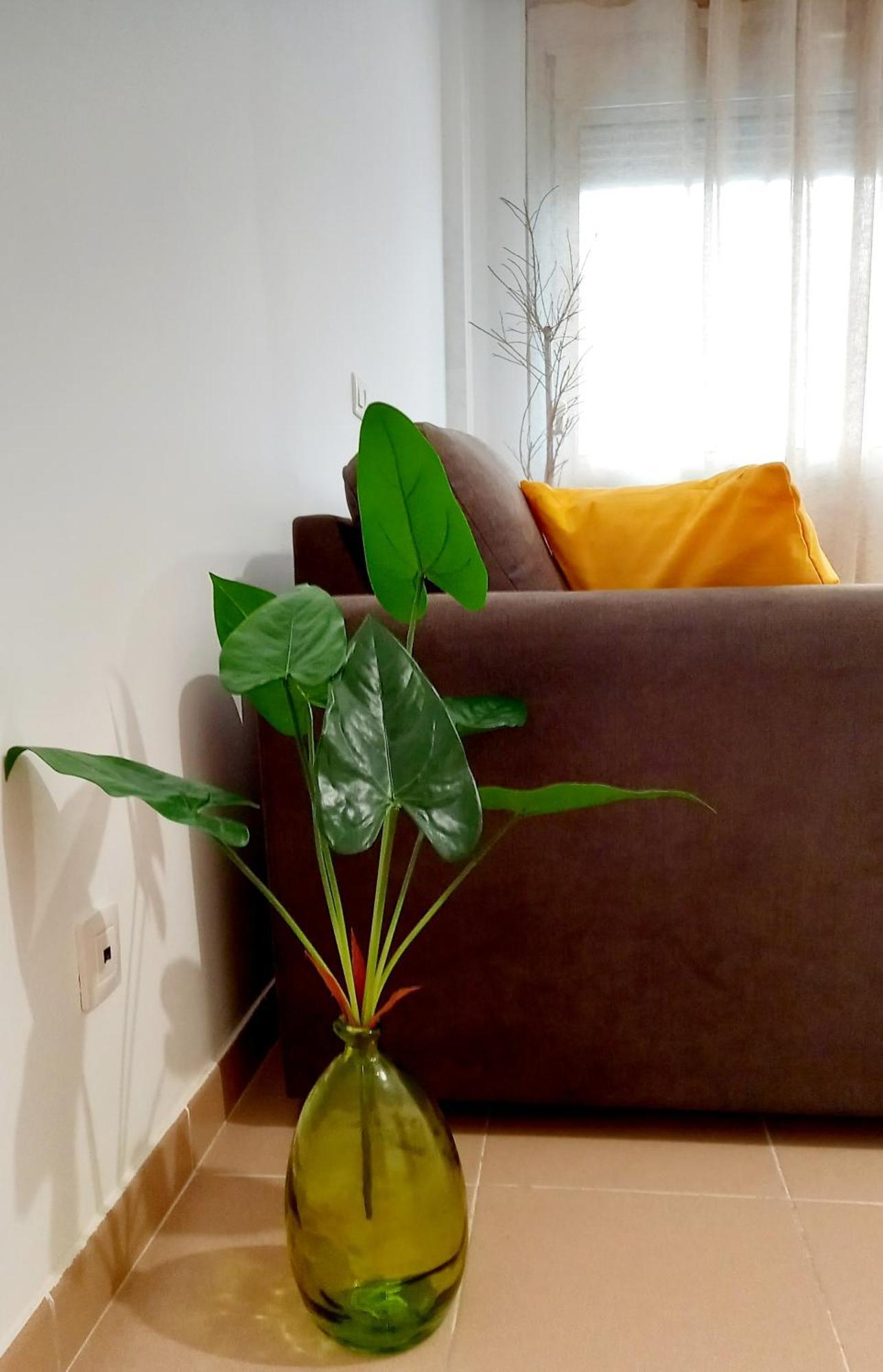 Greenhouse Sardina Bagian luar foto